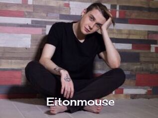 Eitonmouse