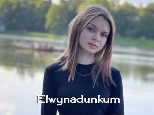 Elwynadunkum
