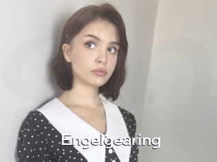 Engelgearing