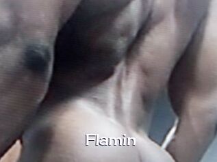 Flamin
