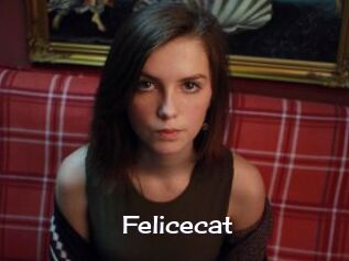 Felicecat