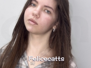 Felicecatts
