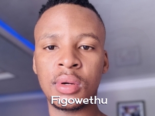 figowethu Click here to exit