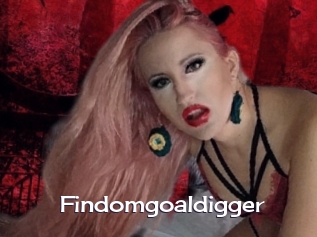 Findomgoaldigger