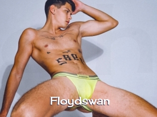 Floydswan