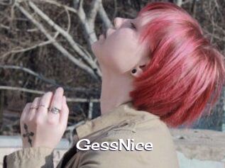 GessNice Click here to exit