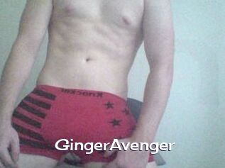 GingerAvenger