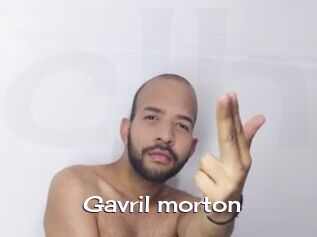 Gavril_morton