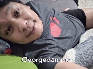 Georgedammer
