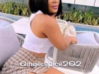 Gingerspice202
