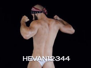 HEVAN12344