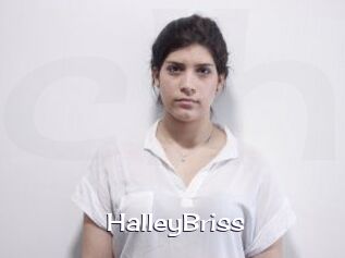 HalleyBriss