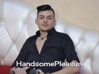 HandsomePleasure