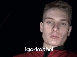 Igorkoshel