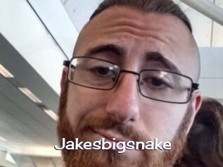 Jakesbigsnake