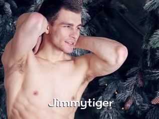 Jimmytiger