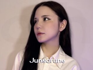 junsorune Click here to exit