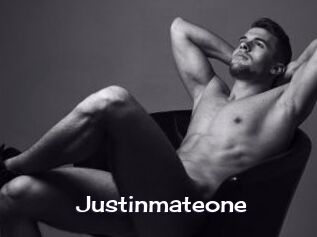 Justinmateone
