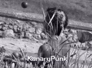 KanaryPunk
