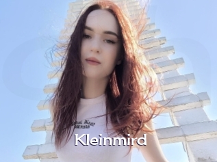 Kleinmird