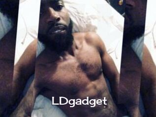 LDgadget