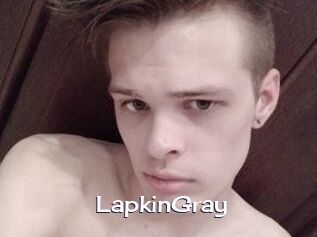 LapkinGray