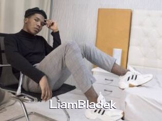 LiamBladek