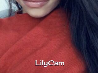 LilyCam
