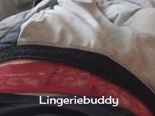 Lingeriebuddy