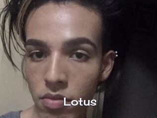 Lotus