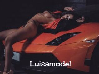 Luisamodel