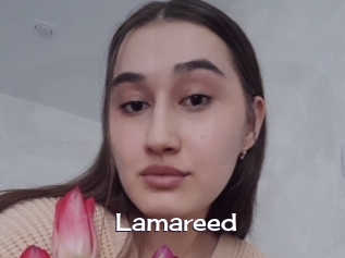 Lamareed