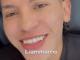 liammarco Click here to exit