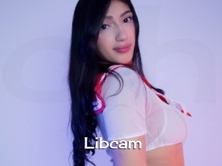 Libcam