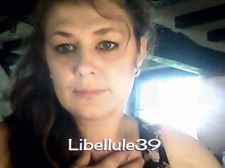 Libellule39