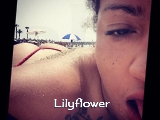Lilyflower