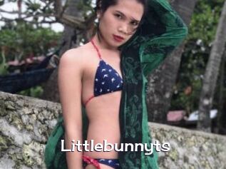 littlebunnyts Click here to exit