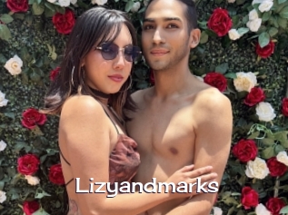 Lizyandmarks