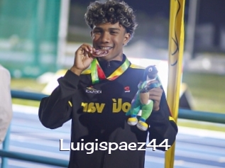 Luigispaez44