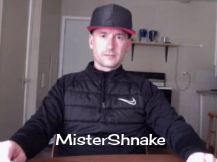 MisterShnake