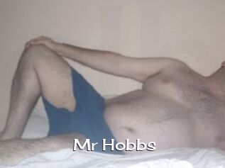 Mr_Hobbs