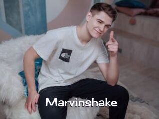Marvinshake