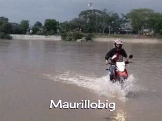 Maurillobig