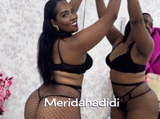 meridahadidi Click here to exit