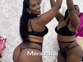 Meridaroa