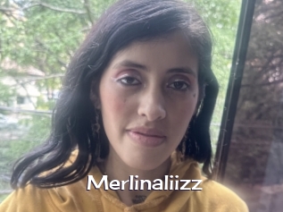 Merlinaliizz