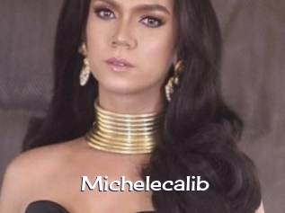 Michelecalib