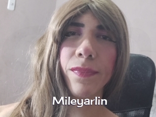 Mileyarlin
