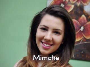 Mimche
