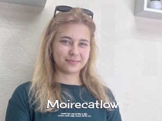 Moirecatlow